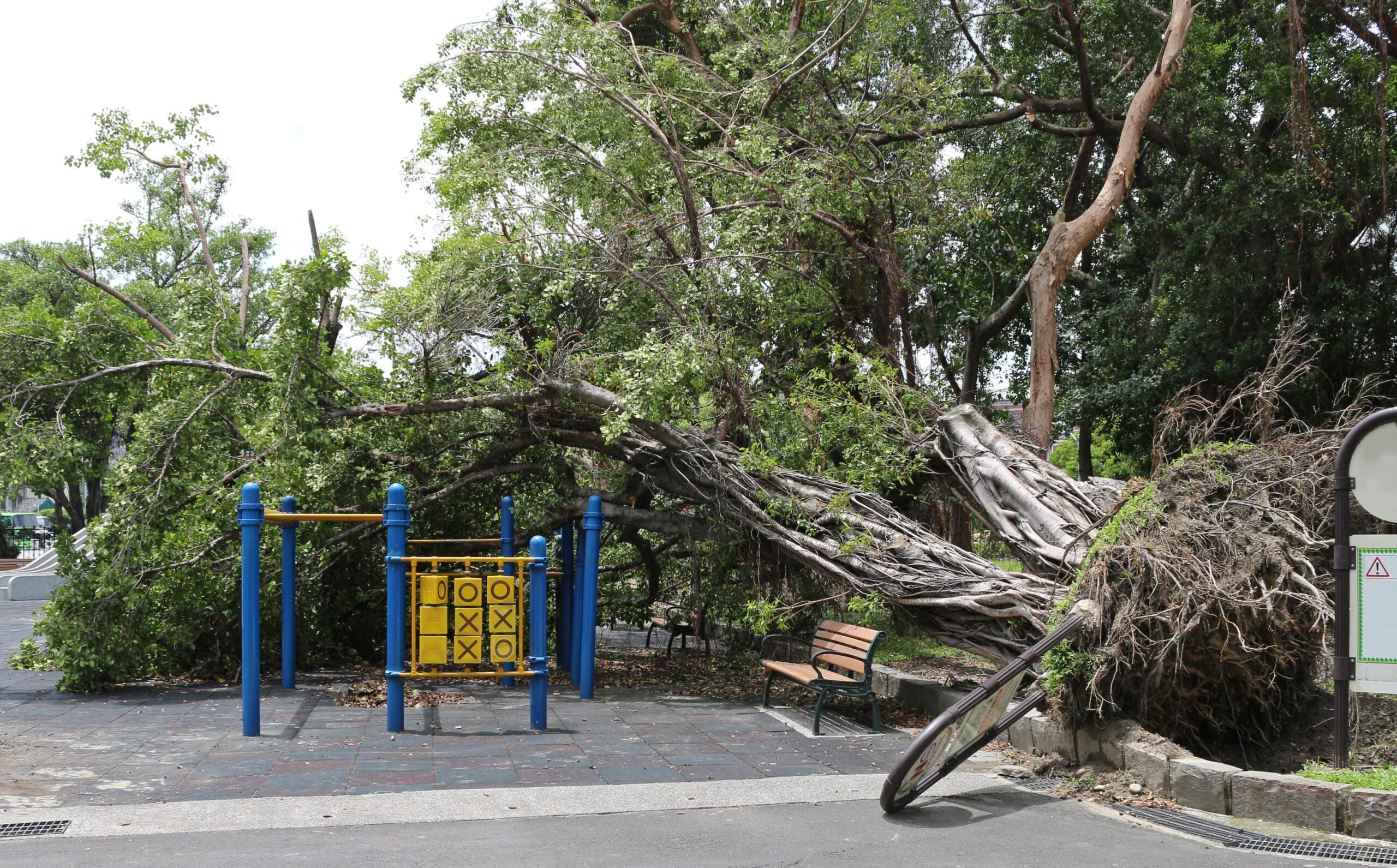Dec 20, 2020 · find the latest breaking news and information on the top stories, politics, business, entertainment, government, economy, health and more. Hurricane's Idaho Falls Photos - Hurricanes Child Care Aware Of America